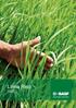 Linea Riso. BASF, azienda leader nel campo della protezione delle colture, pone particolare attenzione al mondo del Riso