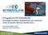 Il Progetto EU-FP7 STREAMLINE: Tecnologie di analisi e progettazione per propulsori navali ad elevata efficienza idrodinamica