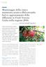 Monitoraggio della cimice marmorata asiatica (Halyomorpha halys): aggiornamento della diffusione in Friuli Venezia Giulia nella stagione 2016