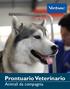 Prontuario Veterinario Animali da compagnia