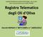 Registro Telematico degli Oli d'oliva Decreti MiPAAF n 8077/2009 e n 16059/2013