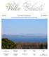 villa for sale on Lake Bracciano