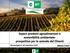 Export prodotti agroalimentari e sostenibilità ambientale: prospettive per le aziende del Chianti