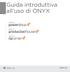 Guida introduttiva all uso di ONYX