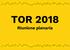 TOR 2018 Riunione plenaria