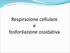 Respirazione cellulare e fosforilazione ossidativa