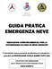 GUIDA PRATICA EMERGENZA NEVE