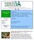 NEWSLETTER n. 3/2015. Ti aspetto. Il C. Ufficio Stampa Mimmo Vita. PS: Domenica guarda Linea Verde (RaiUno, ore 12.20), si parla anche di Legno Veneto