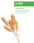 Linea Cereali. Un ampia gamma di soluzioni al servizio della redditività. di chi coltiva i cereali