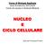 NUCLEO E CICLO CELLULARE