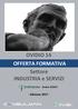 OVIDIO 14 OFFERTA FORMATIVA Settore INDUSTRIA e SERVIZI