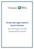 Guida alle agevolazioni per le imprese. Descrizione dei prodotti e servizi offerti e Mini-guida sulla finanza agevolata