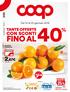 FINO al. 2,67 0,89 al Kg CON SCONTI. TaNTe OFFerTe. Dal 10 al 23 gennaio Conviene. ARANCE TAROCCO 3 kg