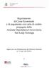 Regolamento di Cassa Economale e di pagamento con carta di credito prepagata della Azienda Ospedaliera Universitaria San Luigi Gonzaga