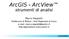 ArcGIS - ArcView strumenti di analisi