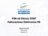 FSN ed Elenco ISTAT Fatturazione Elettronica PA. Andrea Carnevali R&D Director GESINF S.r.l.