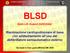 BLSD. Basic Life Support Defibrillator. Rianimazione cardiopolmonare di base con addestramento all uso del defibrillatore semiautomatico esterno