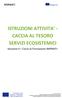 ISTRUZIONI ATTIVITA - CACCIA AL TESORO SERVIZI ECOSISTEMICI
