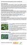 2018 Descrizione delle piantine di erbe aromatiche bio