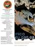 mico euganea Notiziario digitale del Gruppo Micologico Naturalistico dei Colli Euganei Numero 1 ultimo trimestre 2012-Anno 1