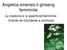 Angelica sinensis:il ginseng femminile. La medicina e la specificità femminile: Oriente ed Occidente a confronto