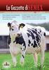 INVESTI 5 PER GUADAGNARE 10 L arte di controllare i costi dell alimentazione E di farlo senza ridurre la produzione di latte