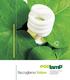 chi? Ecolamp: un Consorzio illuminato un al servizio dell ambiente