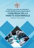 Scuola di Riferimento Nazionale di CHIRURGIA DELLA PARETE ADDOMINALE