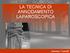 LA TECNICA DI ANNODAMENTO LAPAROSCOPICA. Antonio Castelli