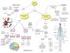 TEORIA DELLA NEUROTRASMISSIONE CELLULARE