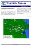 West Nile Disease. Situazione epidemiologica. N ottobre 2008 ore 17:00