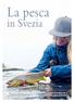 La pesca. in Svezia. Finanziata dall Agenzia svedese per la tutela dell ambiente (Naturvårdsverket)