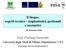 Il biogas: aspetti tecnico impiantistici, gestionali e normativi