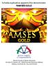 RAMSES GOLD. Scheda esplicativa apparecchio denominato