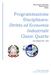 Programmazione Disciplinare: Diritto ed Economia Industriale Classi: Quarte