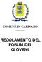 COMUNE DI CARINARO. -Provincia di Caserta- REGOLAMENTO DEL FORUM DEI GIOVANI