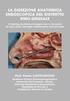 La dissezione anatomica endoscopica del distretto rino-sinusale