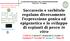 Saccarosio e sorbitolo regolano diversamente l espressione genica ed epigenetica e lo sviluppo di espianti di pesco in vitro