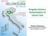 Progetto HuCare: Humanization of cancer Care. Rodolfo Passalacqua Direttore Dipartimento Oncologico Istituti Ospitalieri Cremona