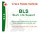 Croce Rossa Italiana BLS. Basic Life Support. Rianimazione cardiopolmonare di base Corso esecutori per personale laico