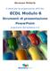 Germano Pettarin E-book per la preparazione all ECDL ECDL Modulo 6 Strumenti di presentazione PowerPoint Argomenti del Syllabus 5.