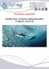 Preventivo viaggi H2O. Sardine Run: Avventura indimenticabile! 27/06/18-07/07/18