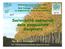 Sostenibilità bl ambientale della pioppicoltura disciplinata