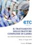 ITALY IL TRATTAMENTO DELLE FRATTURE COMPLESSE DI GAMBA. AULA VISCONTI ShERATON PARCO Dè MEDICI. Roma, 22 Giugno Presidente: R.