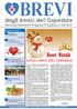 Periodico di informazione dell associazione padovana donatori di sangue AMICI DELL OSPEDALE - n 45 - III quadrimestre 2017