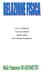 I.T.C.G. Hodierna. Corso per Geometri. Materia: Fisica. Prof. Giuseppe Frangiamore