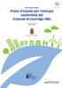Piano d azione per l energia sostenibile del Comune di Cavriago (RE)