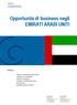 Opportunità di business negli EMIRATI ARABI UNITI