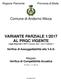 VARIANTE PARZIALE 1/2017 AL PRGC VIGENTE Legge Regionale n 56/77 e ss.mm. ed ii. art.17 comma 7