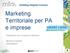 Marketing Territoriale per PA e imprese